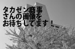 （有）タカゼン商事