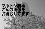 太田市のマルトシ商事（株）